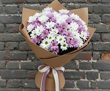 Букет цветов из:  Хризантемы #REPLACE_PRED# Турочак