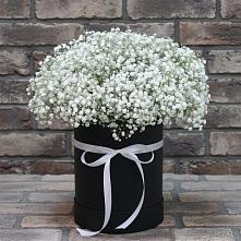 Цветочная композиция из Гипсофила в шляпной коробке в Турочак